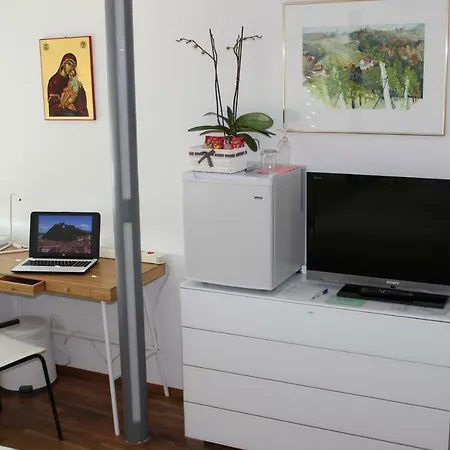 Penthouse Am Park Accommodatie bij particulieren *